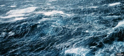 water-buffalo-aerobics-roiling-sea